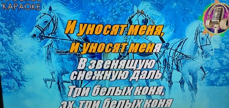 В Доме ремесел состоялось мероприятие «Кино – в волшебный мир окно», посвящённое Дню российского кино. 