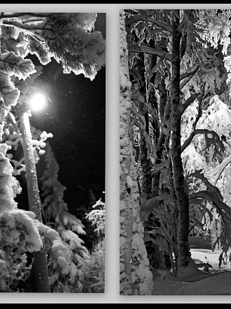 "Сказки Кольского Севера"