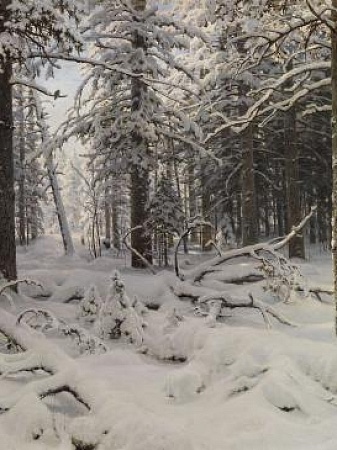 «Арктические зарисовки»  по выставке «Прикоснуться к Арктике»