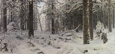 «Арктические зарисовки»  по выставке «Прикоснуться к Арктике»