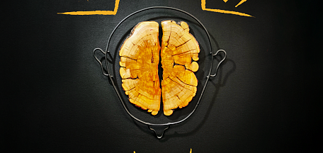 «Мнение. Влияние. Выбор». Живопись и объекты Федора Мухаметшина. г. Апатиты