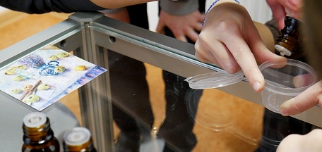 Цветочная магия для учеников школы №36