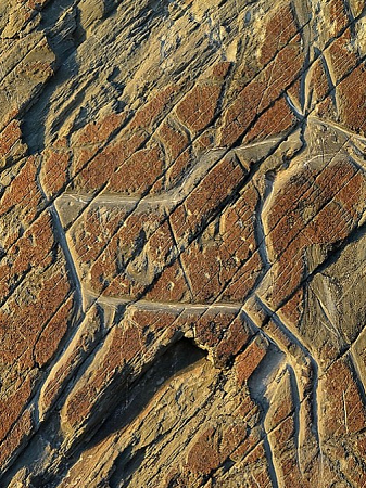 «Первобытное искусство. Мир сновидений». Лекция из цикла «История искусств. От Альтамиры до Матисса»