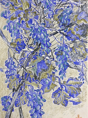 «Графика Андрея Блиока»