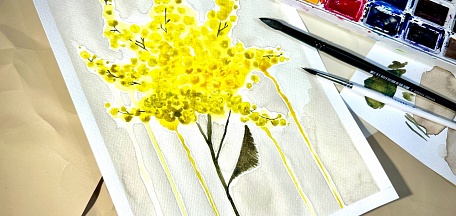 «Лучистая мимоза»